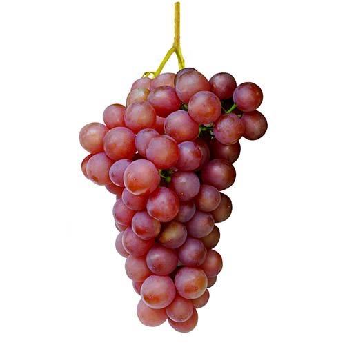 UK salt grape 30ml